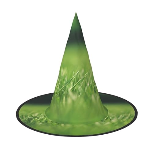 1PC Halloween Hut - HD Grün Natur Druck Hexen Dekor Party Hexe Kostüm Spitze Horn Kappe Festliches Geschenk 1PC Halloween Hut - HD Grün Natur Druck Hexen Dekor Party Hexe Kostüm Spitze Horn Kappe Festliches Geschenk von CPyuqw
