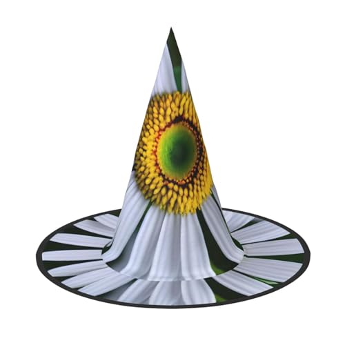 2 Stück Halloween-Hut – Gänseblümchen-Druck, Hexendekoration, Party, Hexenkostüm, spitze Hornkappe, festliches Geschenk von CPyuqw