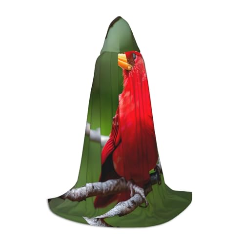 M Halloween Kapuzenumhang - Unisex Schöne rote Vögel Volldruck Kostüm für Partys, Karneval und Comic Ausstellungen von CPyuqw