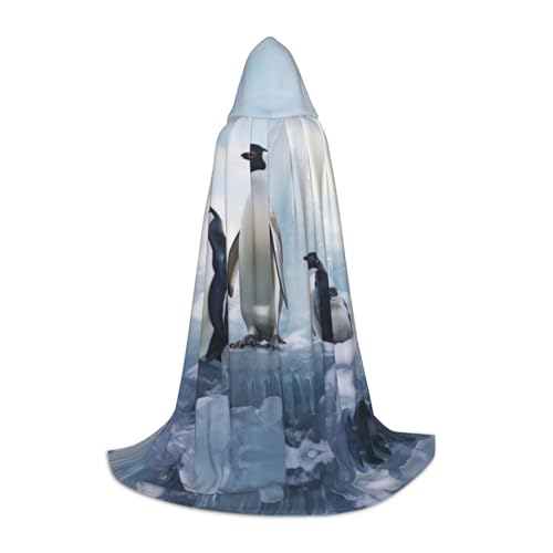Dein umhang. Einen Delphin Spielen Halloween Kapuzenumhang - Zauberer Tunika Kapuzenrobe Halloween Umhang Cosplay Kostüme(Penguins in The Snow,Medium) von CQAHDSEVF