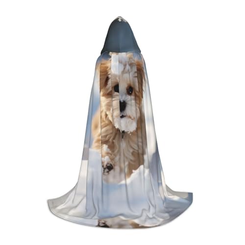 Dein umhang. Niedlicher Waschbär-Halloween-Kapuzenumhang – Zauberer-Tunika mit Kapuze, Umhang for Halloween, Cosplay-Kostüme(Cute Puppy,Medium) von CQAHDSEVF