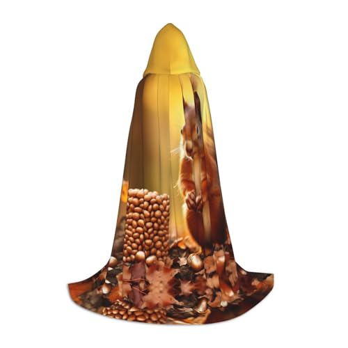 Dein umhang. Sonnenuntergang Halloween Kapuzenumhang - Zauberertunika Kapuzenrobe Halloweenumhang Cosplay Kostüme(Squiries of Pine Nuts,Medium) von CQAHDSEVF