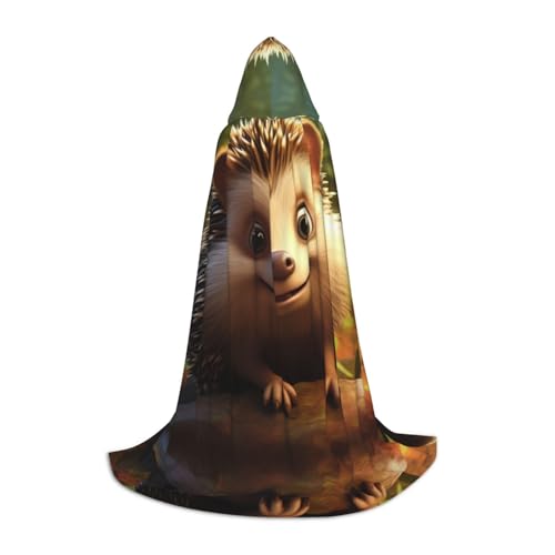 Dein umhang. Weltraumlandschaft Halloween Kapuzenumhang - Zauberertunika Kapuzenrobe Halloweenumhang Cosplay Kostüme(Smiling Hedgehog,Small) von CQAHDSEVF
