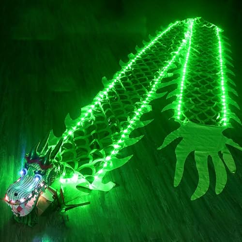 CQCQC Lumineszierender Drachenpoi, geführter Drachenpoi, fließender quadratischer Übungstanz-Drachenbandpoi, Sich drehendes Drachenband leuchtet for die Nachtparade(Green,8m) von CQCQC