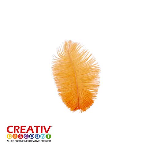 CREATIV DISCOUNT® NEU Straussenfeder, 20 cm, 2 Stück, Orange von CREATIV DISCOUNT