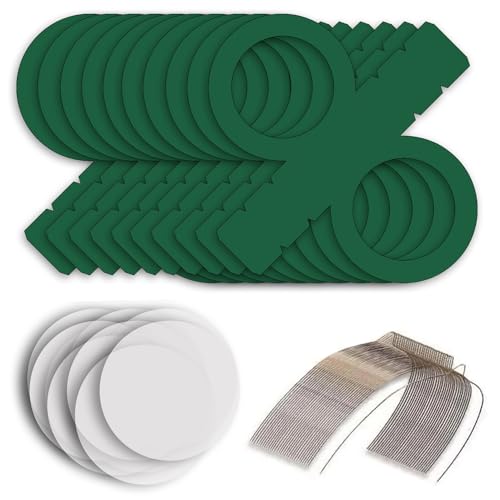 CREATIV DISCOUNT Laternen Bastelset für Grüne Laternen, 10 dunkelgrün Rohlinge, 20 runde Transparentpapierzuschnitte, 10 Laternenbügel, Ideal für 10 Martinslaternen CREATIV DISCOUNT Laternen Bastelset für Grüne Laternen, 10 dunkelgrün Rohlinge, 20 runde Transparentpapierzuschnitte, 10 Laternenbügel, Ideal für 10 Martinslaternen von CREATIV DISCOUNT