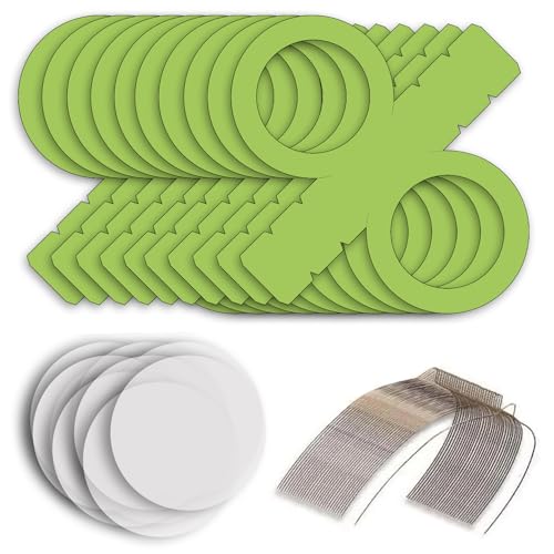 CREATIV DISCOUNT Laternen Bastelset für Grüne Rund-Laternen, 10 hellgrüne Rohlinge, 20 runde Transparentpapierzuschnitte, 10 Laternenbügel, Ideal für 10 Martinslaternen CREATIV DISCOUNT Laternen Bastelset für Grüne Rund-Laternen, 10 hellgrüne Rohlinge, 20 runde Transparentpapierzuschnitte, 10 Laternenbügel, Ideal für 10 Martinslaternen von CREATIV DISCOUNT