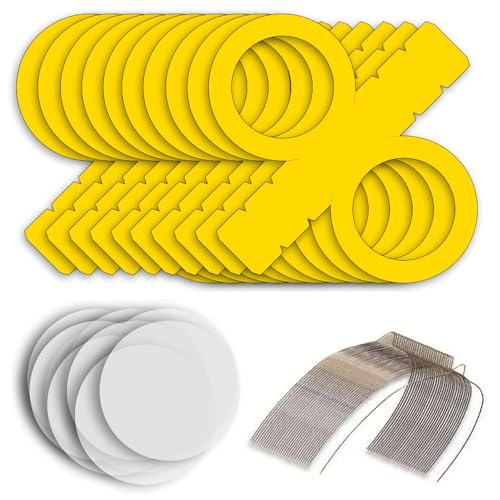 CREATIV DISCOUNT Laternen Bastelset mit 10 Gelben Rundlaternen Rohlingen, 20 runde Transparentpapierzuschnitte, 10 Laternenbügel, Ideal für 10 Martinslaternen CREATIV DISCOUNT Laternen Bastelset mit 10 Gelben Rundlaternen Rohlingen, 20 runde Transparentpapierzuschnitte, 10 Laternenbügel, Ideal für 10 Martinslaternen von CREATIV DISCOUNT
