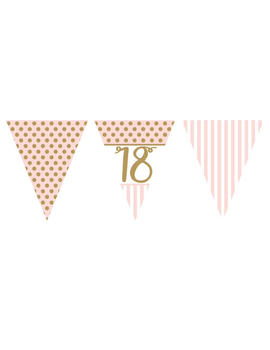 Wimpelkette 18. Geburtstag Papier rosa und gold 3,7m Punkte + Streifen Wimpelkette 18. Geburtstag Papier rosa und gold 3,7m Punkte + Streifen von CREATIVE PARTY