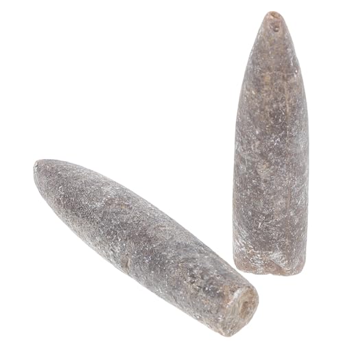 CRILSTYLEO 2 Stück Natürliche fossile Fossilien Authentische Fossilien für Erdwissenschaften und Paläontologie Lehrzubehör und Dekorative Sammlung für Zuhause und Unterricht von CRILSTYLEO