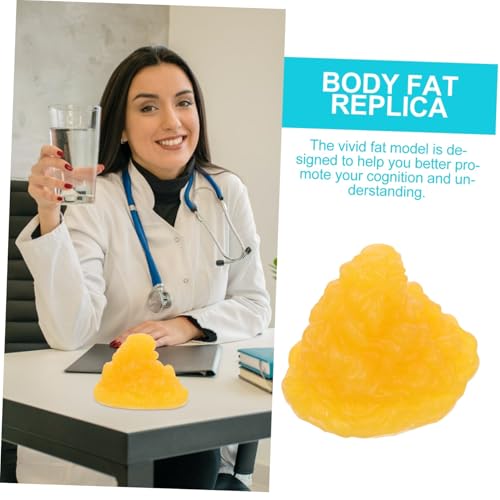 CRILSTYLEO Anatomisches Körperfett Modell Authentische Fettgewebe Nachbildung Lebensechtes Demonstrationsmodell für Unterricht Gesundheit Fitness und Medizin Vivid und Praktisch CRILSTYLEO Anatomisches Körperfett Modell Authentische Fettgewebe Nachbildung Lebensechtes Demonstrationsmodell für Unterricht Gesundheit Fitness und Medizin Vivid und Praktisch von CRILSTYLEO