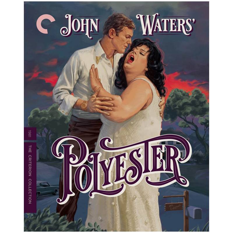 Polyester - The Criterion Collection (US Import) von CRITERION COLLECTION