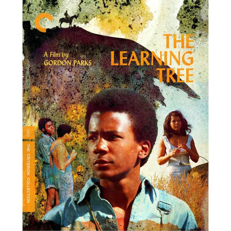 The Learning Tree - The Criterion Collection (US Import) von CRITERION COLLECTION