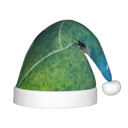 CRJSYCBYB Weihnachtsmütze mit Fußball-Motiv, bedruckt, für Kinder, Glitzer, leuchtende Weihnachtsmütze CRJSYCBYB Weihnachtsmütze mit Fußball-Motiv, bedruckt, für Kinder, Glitzer, leuchtende Weihnachtsmütze von CRJSYCBYB