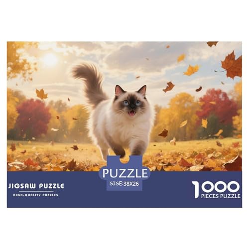 Maine Coon Puzzle 1000 Teile Schwer Puzzle Spielzeug Lernspiel Impossible Herausforderungsspielzeug Für Erwachsene Und Kinder in Bewährter 38x26cm/1000pcs von CRKATXU