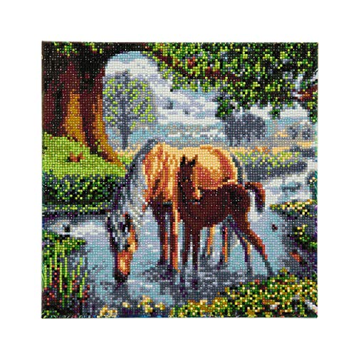 Crystal Art CAK-SC1 30x30cm Framed Kits, Multicolor Crystal Art CAK-SC1 30x30cm Framed Kits, Multicolor von CRYSTAL ART