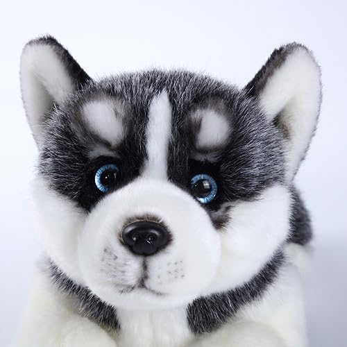 CU-MATE Sibirischer Husky, Plüschtier, realistisch und realistisch, weich, weich, Plüsch, Welpen, Geschenk für Jungen und Mädchen von CU-MATE