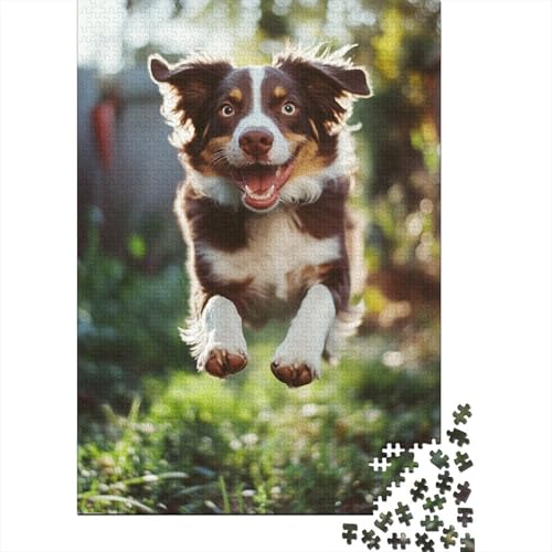 Australian Shepherd Puzzles 1000 Teile Schwer Puzzle Spielzeug Pädagogisches Spiel Impossible Herausforderung Spielzeug Für Erwachsene Kinder 1000pcs (75x50cm) von CUBSKRIRB