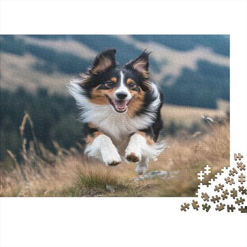 Shetland SchafeHund 1000 Teile Puzzle Für Erwachsene, Hochwertige Recycelbare MateriAußerirdische Und Druck Puzzlespiel, Familienspiel, Geschenk Für Liebhaber Oder Freunde Puzzel 1000pcs (75x50cm) von CUBSKRIRB