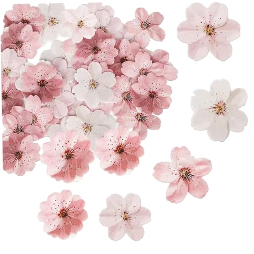 Blumencupcake -Topper, 50pcs essbare Kirschblüten -Cupcake -Topper, Blumenkuchendekorationen, Torte für Hochzeit, Party -Lebensmitteldekoration Blumencupcake -Topper, 50pcs essbare Kirschblüten -Cupcake -Topper, Blumenkuchendekorationen, Torte für Hochzeit, Party -Lebensmitteldekoration von CUCUFA