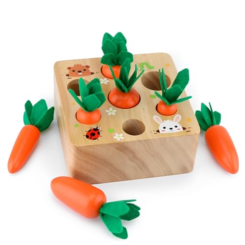 CUEMOON Pädagogische Karotten, 1 Jahr Holzspielzeug ab Kleinkinder Spielzeug Sortierspiel, Entwicklung Montesso ri Spielzeug Vorschule Lernen Feinmotorik Jungen Mädchen Spielzeug CUEMOON Pädagogische Karotten, 1 Jahr Holzspielzeug ab Kleinkinder Spielzeug Sortierspiel, Entwicklung Montesso ri Spielzeug Vorschule Lernen Feinmotorik Jungen Mädchen Spielzeug von CUEMOON