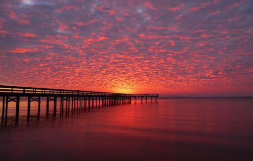100-teiliges Challenge-Puzzle für Erwachsene und Kinder, Pier, Vereinigte Staaten, Virginia, King Lincoln Park, Newport News, 45,5 x 35,5 cm von CUREW