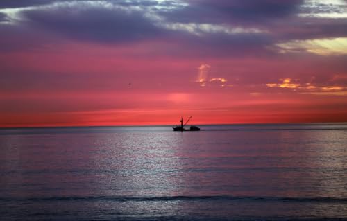 100-teiliges Puzzle, Puzzle für Erwachsene und Jugendliche, Meer, 45,5 x 35,5 cm 100-teiliges Puzzle, Puzzle für Erwachsene und Jugendliche, Meer, 45,5 x 35,5 cm von CUREW