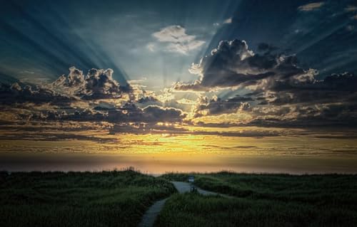 100-teiliges Puzzle für Erwachsene, großes, anspruchsvolles Puzzle für Erwachsene, unterhaltsames 100-teiliges Puzzle-Geschenk für Freunde und Familie, Sonnenaufgang, 45,5 x 35,5 cm 100-teiliges Puzzle für Erwachsene, großes, anspruchsvolles Puzzle für Erwachsene, unterhaltsames 100-teiliges Puzzle-Geschenk für Freunde und Familie, Sonnenaufgang, 45,5 x 35,5 cm von CUREW