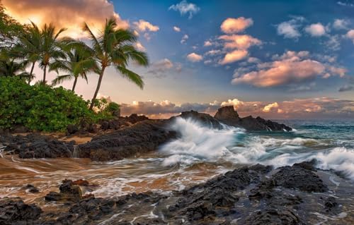 1000-teiliges Premium-Puzzle – Jedes Teil ist einzigartig – Anspruchsvolles Familienspiel für Erwachsene, Ozean, Felsen, Brandung, Hawaii, Maui, Tropen, 70 x 50 cm von CUREW