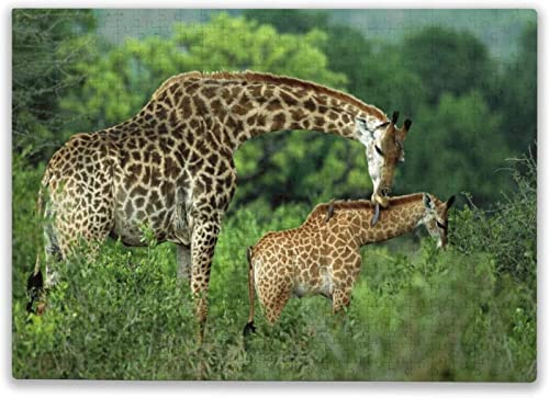 1000-teiliges Puzzle, Giraffe, Mutter und Baby, Puzzle, Heimwanddekoration, Familienspiel, 70 x 50 cm von CUREW