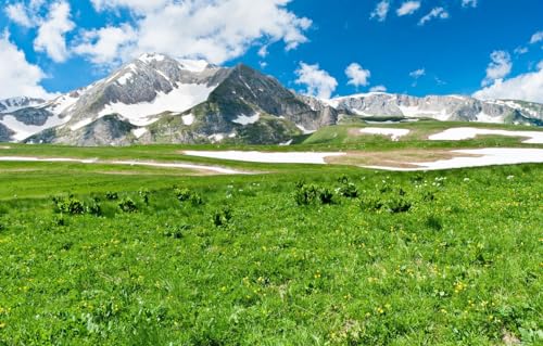 1000-teiliges Puzzle, Landschaft, Berge, perfekte Aussicht, 70 x 50 cm von CUREW
