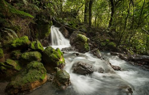 1000-teiliges Puzzle | Nachhaltiges Puzzle für Erwachsene | Hochwertiges 1000% recyceltes Brett | Tolles Geschenk für Erwachsene, Wald, Wasserfall, Neuseeland, Tongariro-Nationalpark, 70 x 50 cm von CUREW