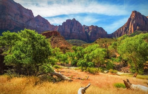 1000-teiliges Puzzle für Erwachsene, Landschaft, Berge, 38 x 26 cm 1000-teiliges Puzzle für Erwachsene, Landschaft, Berge, 38 x 26 cm von CUREW