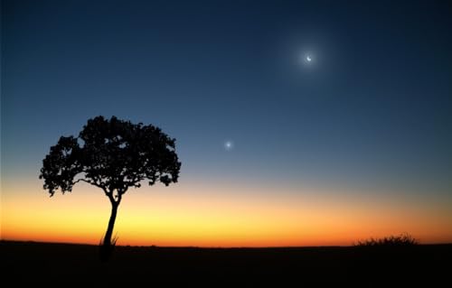 1000-teiliges Puzzle für Erwachsene, Mond, Baum, 70 x 50 cm von CUREW