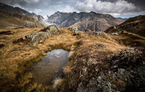 1000-teiliges Puzzle für Erwachsene, Puzzle 1000 Teile, Puzzle für Erwachsene, Geschenke, Berge, Schweiz, Alpen, 38 x 26 cm von CUREW