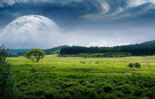 1000-teiliges Puzzle für Erwachsene, großes, anspruchsvolles Puzzle für Erwachsene, unterhaltsames 1000-teiliges Puzzle-Geschenk für Freunde und Familie, Feld, Wald, Mond, 70 x 50 cm von CUREW