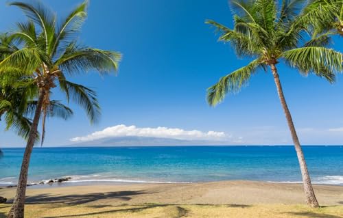 1000-teiliges Puzzle für Erwachsene | Familienspaß-Puzzle 1000 Teile für Erwachsene, Geschenke, Strand, Tropen, Küste, Hawaii, 70 x 50 cm 1000-teiliges Puzzle für Erwachsene | Familienspaß-Puzzle 1000 Teile für Erwachsene, Geschenke, Strand, Tropen, Küste, Hawaii, 70 x 50 cm von CUREW