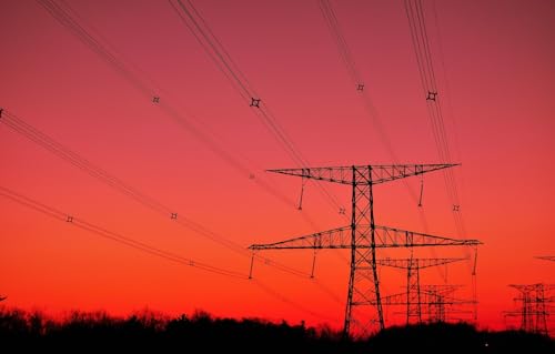 1000-teiliges Puzzle für Erwachsene und Kinder ab 10 Jahren, Bäume, 38 x 26 cm von CUREW