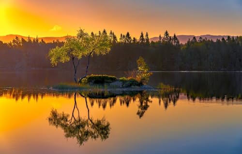 200-teiliges Puzzle für Erwachsene – Puzzles 200 Teile Holzpuzzles – Entspannungspuzzlespiele – Denksportaufgabe, Baum, Norwegen, Insel 35 x 25 cm von CUREW