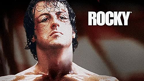 500 Piracle Puzzle für Erwachsene Rocky Movie Toys Lernpuzzle Kreatives Papier Familie für Kinder 52x38CM von CUREW