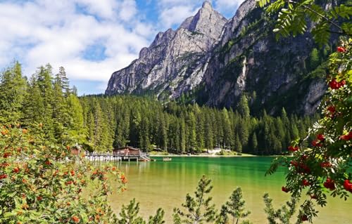 Holzpuzzle für Erwachsene und Kinder, 100-teiliges Puzzle, Wald, Landschaft, Berge, Italien, 45,5 x 35,5 cm von CUREW