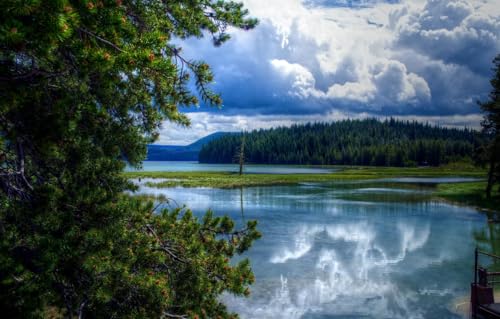 Holzpuzzle mit Tieren für Erwachsene und Kinder, einzigartig, universell, farbenfroh, unterhaltsam, herausforderndes Holzpuzzle für die Familie, 200 Teile, Bäume, USA, Oregon, East Lake, 35 x 25 cm von CUREW