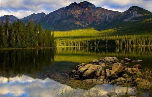 Niedliches Puzzle mit 1000 Teilen – jedes Teil ist einzigartig – anspruchsvolles Spaßspiel für Erwachsene und die ganze Familie, Bäume, Berge, Fichten, Kanada, Jasper-Nationalpark, 70 x 50 cm von CUREW