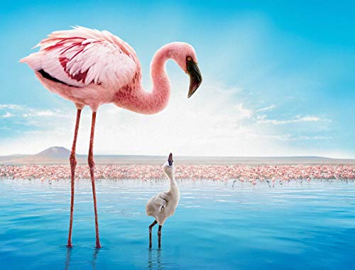 Papierpuzzle für Erwachsene, 100 Teile – Großer Flamingo und Kleiner Flamingo, Kinderpuzzle, Spiel, Puzzle, Spielzeug, Puzzle, 45,5 x 35,5 cm Papierpuzzle für Erwachsene, 100 Teile – Großer Flamingo und Kleiner Flamingo, Kinderpuzzle, Spiel, Puzzle, Spielzeug, Puzzle, 45,5 x 35,5 cm von CUREW