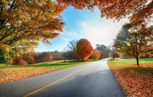 Personalisiertes Fotopuzzle, 500 Teile, Holzpuzzle, personalisiertes Geschenk, Landschaften, 52 x 38 cm von CUREW