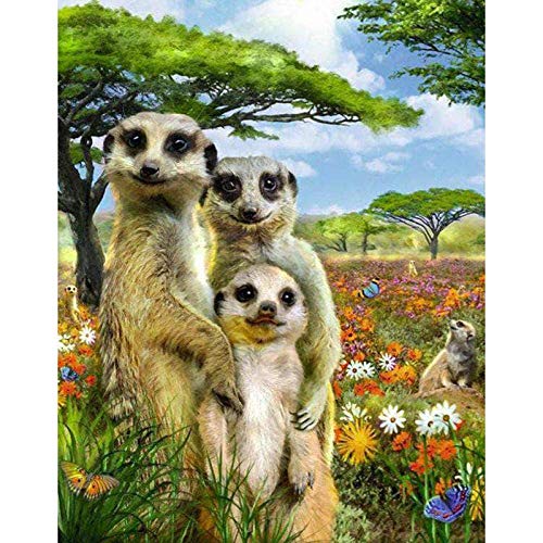 Puzzle, 500 Teile, süßes Erdmännchen-Thema, großes Puzzlespiel für Erwachsene, Jugendliche und Kinder 52x38CM von CUREW