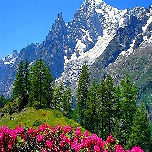 Puzzle 100 Teile, Puzzle Erwachsene, Wälder und schneebedeckte Berge Puzzles, Indoor Puzzle Kreatives Spiel zur Entspannung von Erwachsenen und Bildung von Kindern oder als 45,5x35,5CM Puzzle 100 Teile, Puzzle Erwachsene, Wälder und schneebedeckte Berge Puzzles, Indoor Puzzle Kreatives Spiel zur Entspannung von Erwachsenen und Bildung von Kindern oder als 45,5x35,5CM von CUREW