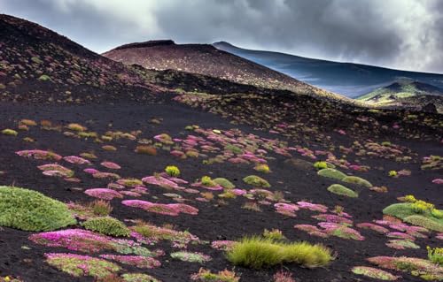 Puzzle 100 Teile für Erwachsene - 100 Teile Puzzle für Erwachsene ganze Familie das Puzzle, Berge 45,5x35,5CM Puzzle 100 Teile für Erwachsene - 100 Teile Puzzle für Erwachsene ganze Familie das Puzzle, Berge 45,5x35,5CM von CUREW