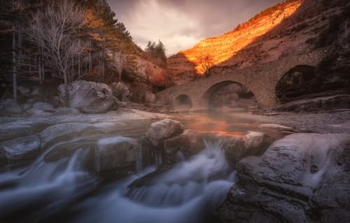 Puzzle 1000 Teile für Erwachsene, Puzzle für Erwachsene, 1000-teiliges Puzzle, Lernspiele, Bäume, Felsen, Wasserfall, Kanal, 38 x 26 cm von CUREW