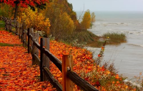 Puzzle 1000 Teile für Erwachsene | 1000-teiliges Puzzle, Lernspiele, Heimdekorationspuzzle, Meer, Wald, Strand, Bäume, Landschaft, 70 x 50 cm von CUREW